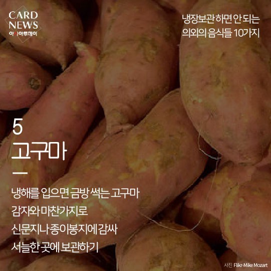 카드 뉴스 이미지