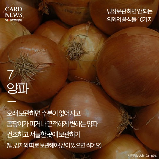 카드 뉴스 이미지