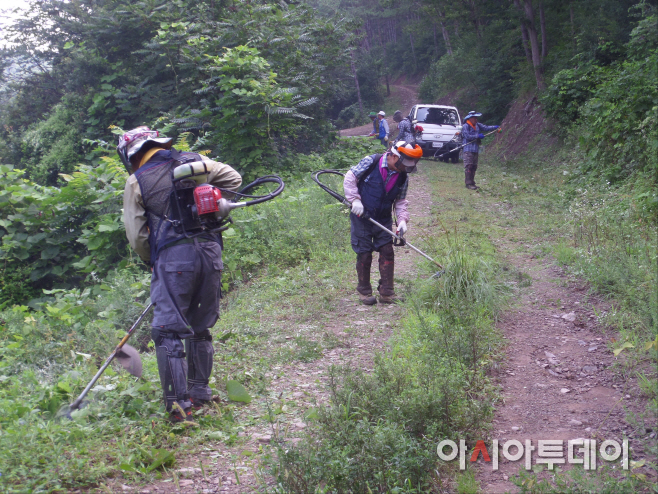0822 밀양시, 추석 성묘객 맞이 임도정비, 개방