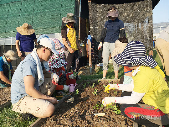 김해 도시농부학교, 농산물 직접 가꿔 먹어요