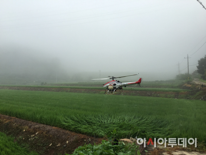 0826 벼 병해충 공동방제 실시(2)