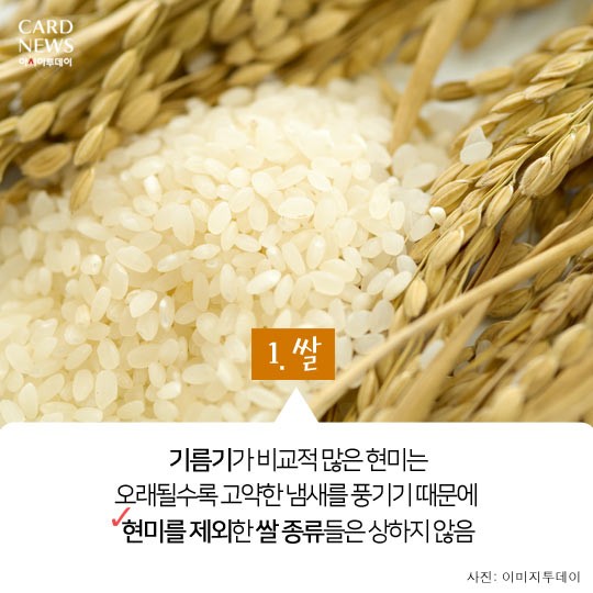 카드 뉴스 이미지