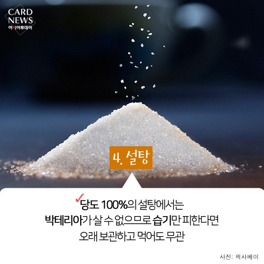 카드 뉴스 이미지