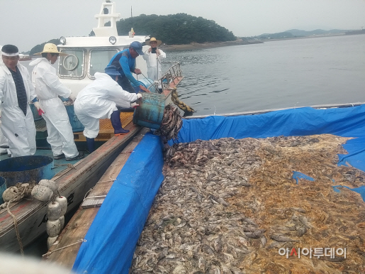 서산시 가두리 양식어업인 지원