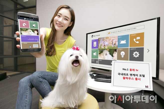 [사진2] KT 올레 tv 왈하우스 출시