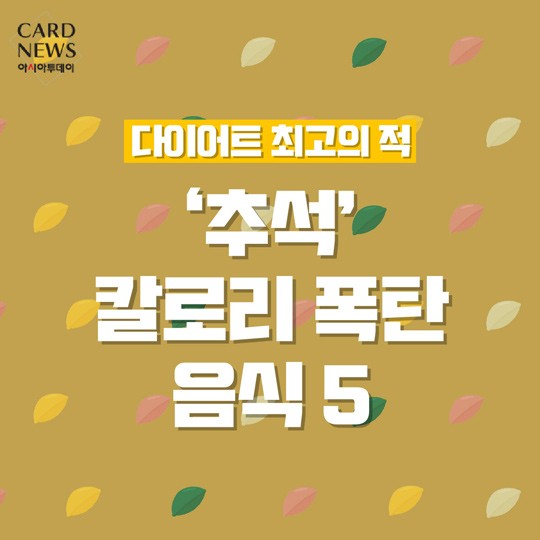 카드 뉴스 이미지