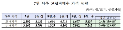 고랭지배추가격