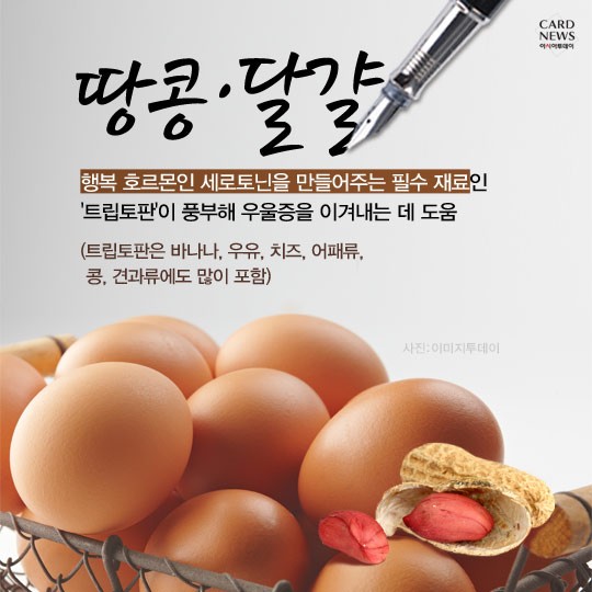 카드 뉴스 이미지