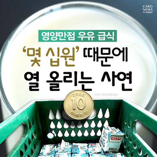 카드 뉴스 이미지