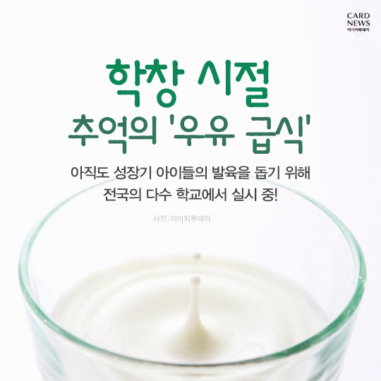 카드 뉴스 이미지