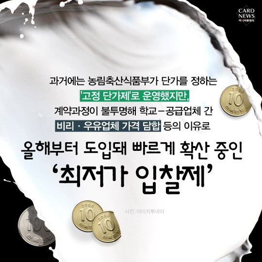 카드 뉴스 이미지