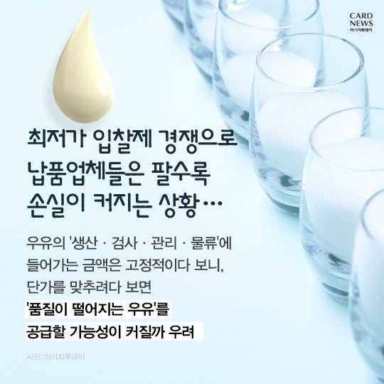 카드 뉴스 이미지