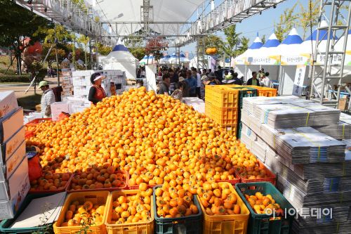청도반시축제