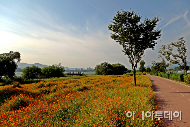 수도권의 명소 '슬로라이프 개최지인 '남양주시 물의정원'