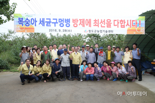 세균구멍병1