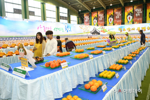 축제