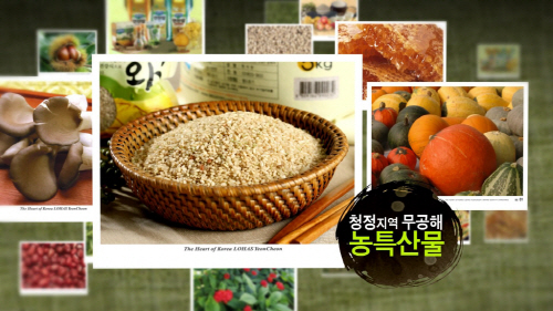 연천군이 자랑하는 청정 연천 ‘2016 연천군 농특산물 큰장터’