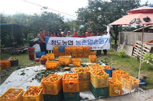 청도농협농가봉사활동