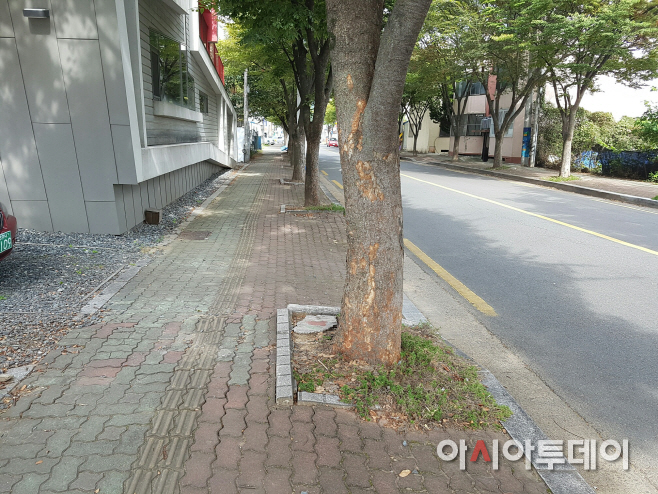 1021 밀양시 삼문로 보행환경 새롭게 단장