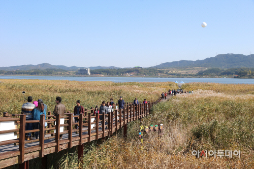 (24일)서천군 2016 달빛문화 갈대축제 (2)
