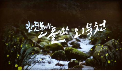 포천시는 외북천의 환경개선을 통해 1~2년 내에 반딧불이 날아