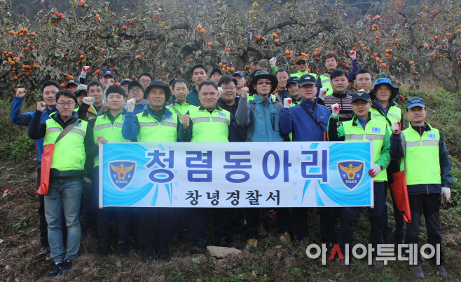사진-창녕서 단감 수확 일손돕기 (1)