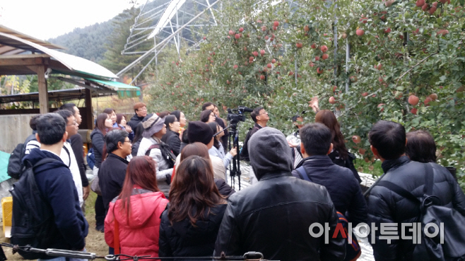 아홉마지기_싱가폴외국체험