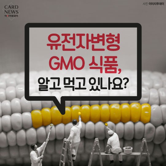 카드 뉴스 이미지