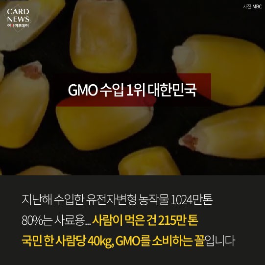 카드 뉴스 이미지