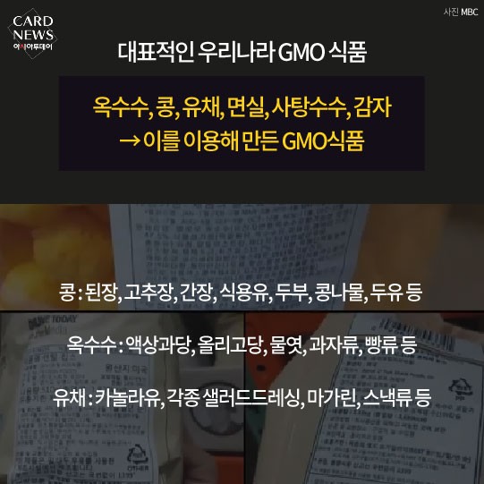 카드 뉴스 이미지