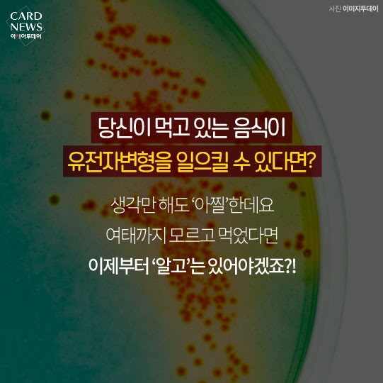 카드 뉴스 이미지