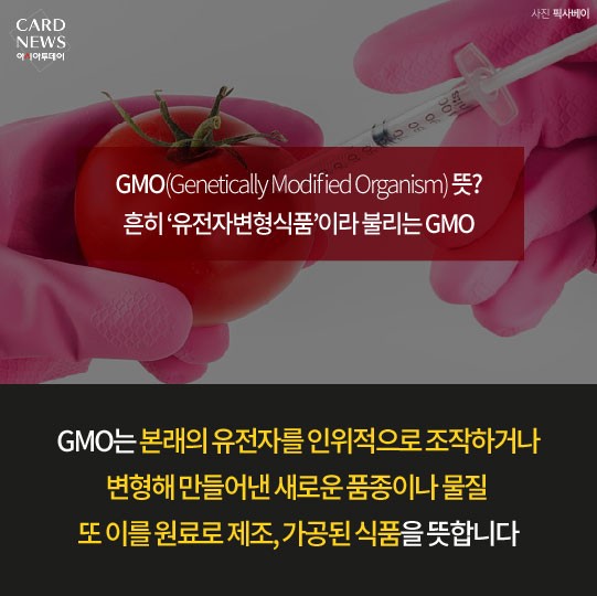 카드 뉴스 이미지