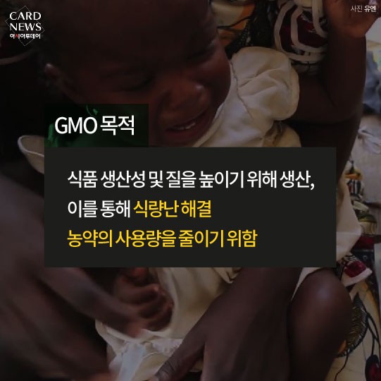 카드 뉴스 이미지