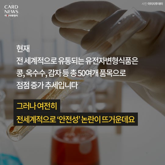 카드 뉴스 이미지