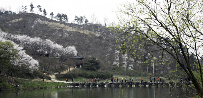 3.친환경 생태숲