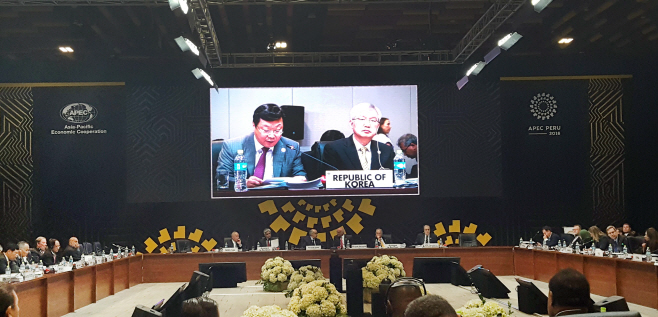(16.11.17)제28회 아시아태평양경제협력체(APEC) 각료회의02
