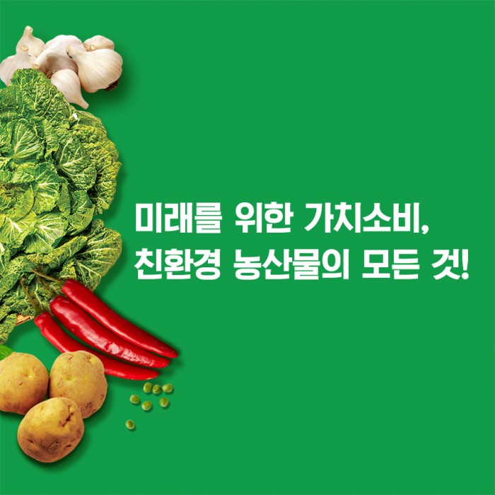 카드 뉴스 이미지