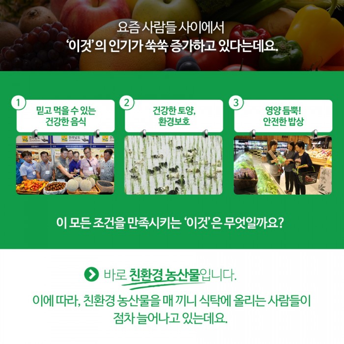 카드 뉴스 이미지