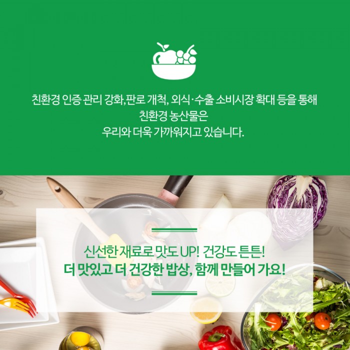 카드 뉴스 이미지