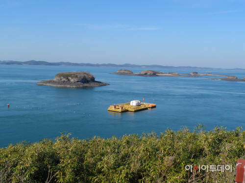 2일(죽도가꾸기 사업) (1)