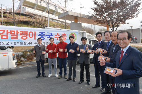 감말랭이해외판촉2