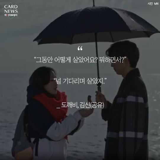 카드 뉴스 이미지