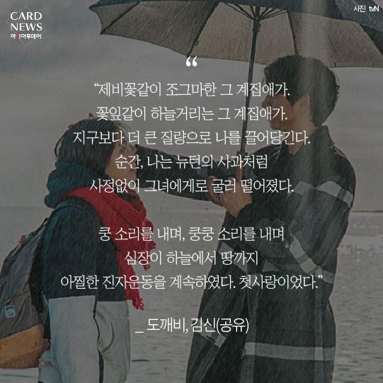 카드 뉴스 이미지