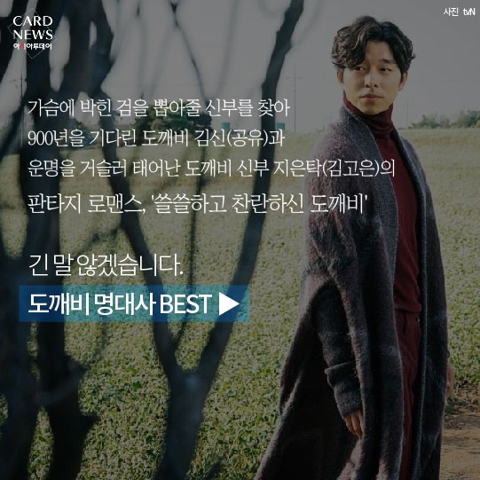 카드 뉴스 이미지
