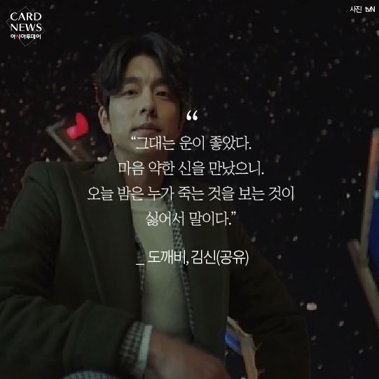 카드 뉴스 이미지