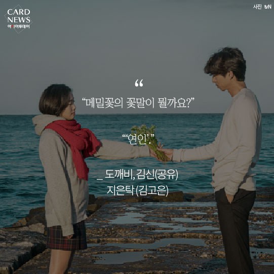 카드 뉴스 이미지