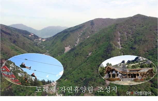 1229 밀양시, 올해 산림행정 뚜렷한 성과