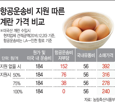 항공운송비지원따른계란가격비교