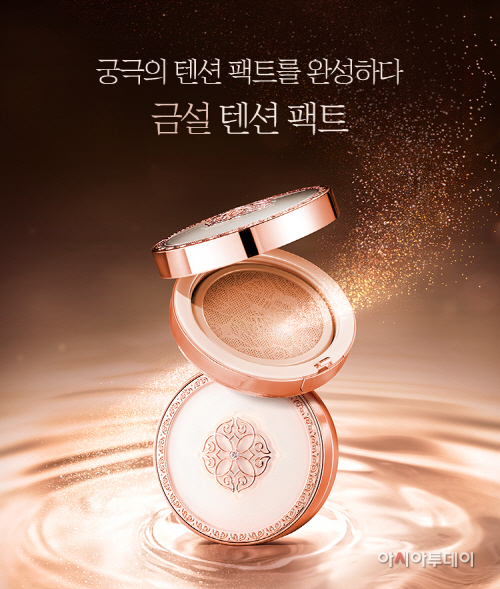 금설 텐션 팩트 이미지컷