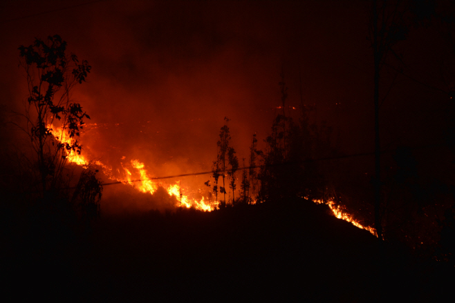 CHILE-FOREST-FIRE <YONHAP NO-3755> (AFP)